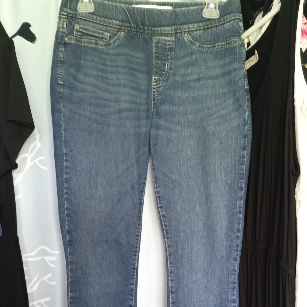 Signature Levi Strauss Gold Totally Shaping Pull On Skinny Jean
